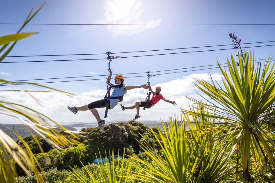 Ecozip Adventure Waiheke Island - Fullers360