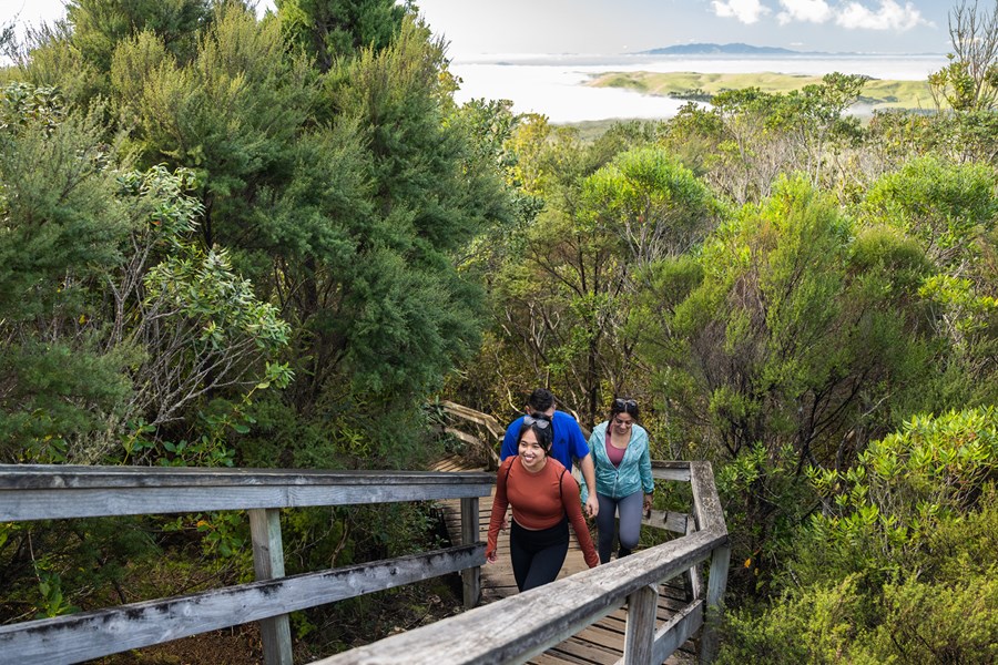 Rangitoto Island Summit Walk - Fullers360.jpg