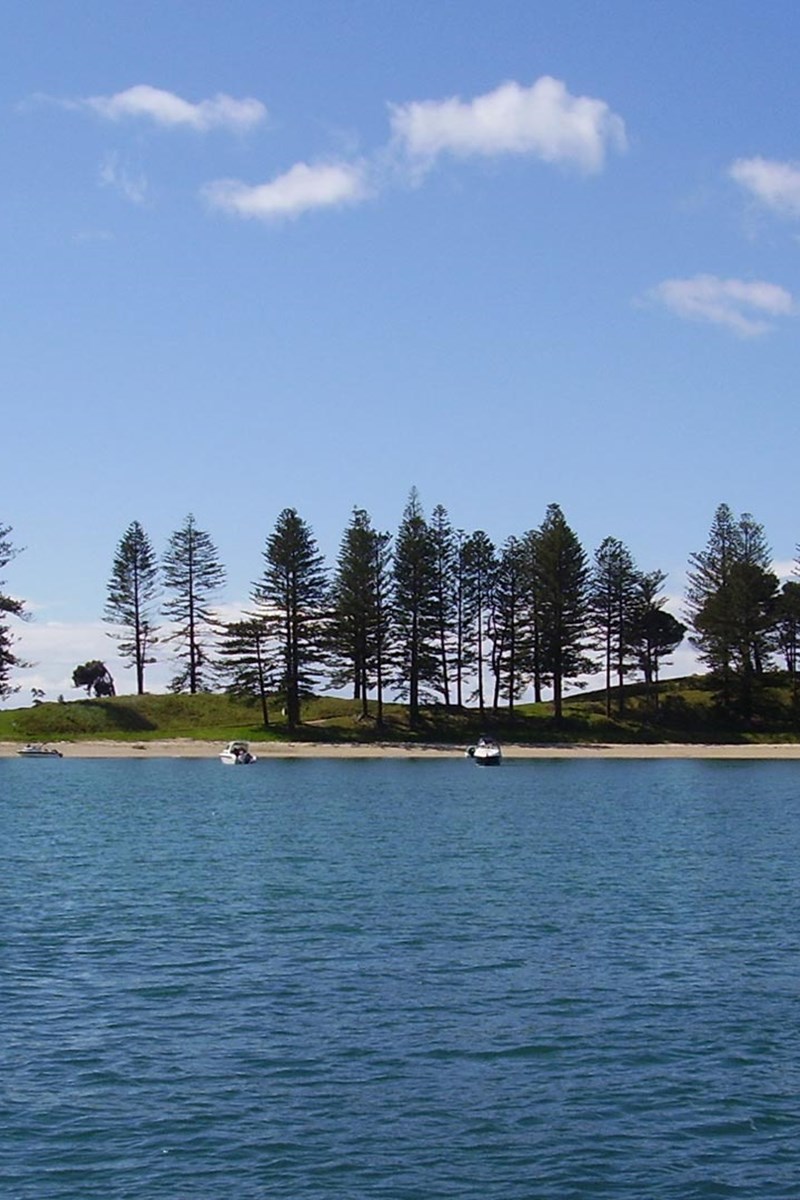 Motuihe Island.jpg