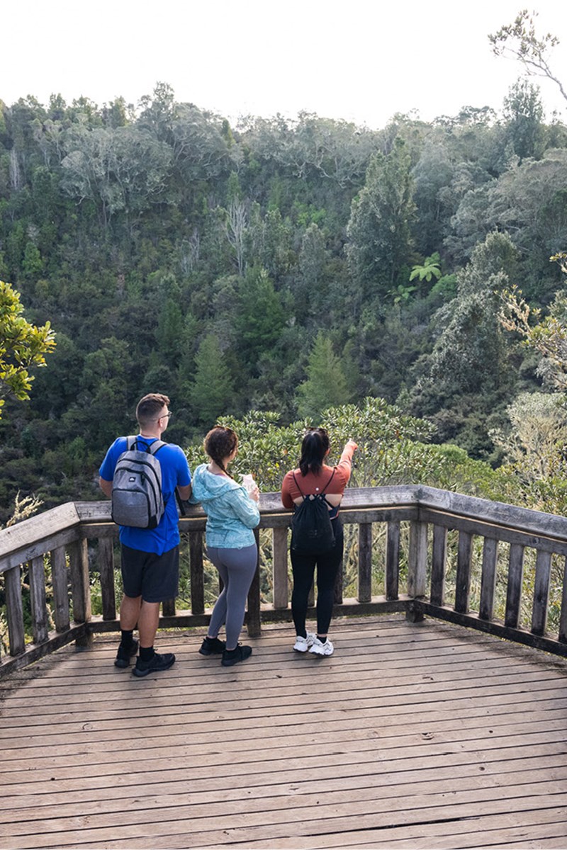 Lookout to the Rangitoto wild life.jpg